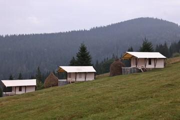 Sticker - Green forest and many houses in mountains. Glamping site