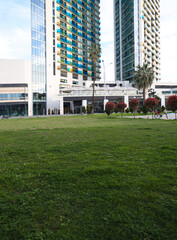 green grass meadow field in the park, with the city skyline in the background, under blue sky on a summer day. Green grass and modern city skyline scenery in Batumi, Georgia.