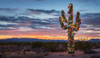 © K KStock - Saguaro cactus in the desert decorated with Christmas lights and ornaments with sunset sky