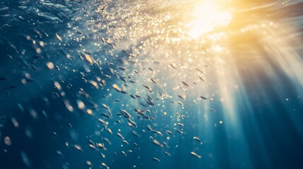 Poster - A macro view of a swarm of tiny fish near the ocean surface, with sunlight filtering through the water, creating a mesmerizing underwater scene.