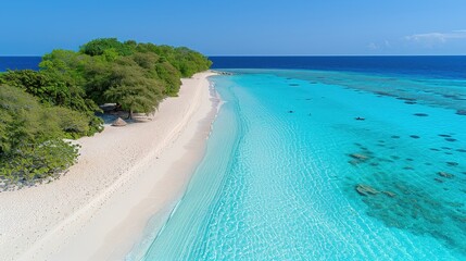 Wall Mural - beach view on the island, sea stars, sandy beach, turquoise sea