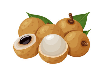 Wall Mural - Summer tropical fruits for healthy lifestyle. Longan fruit. Vector illustration cartoon flat icon isolated on white.