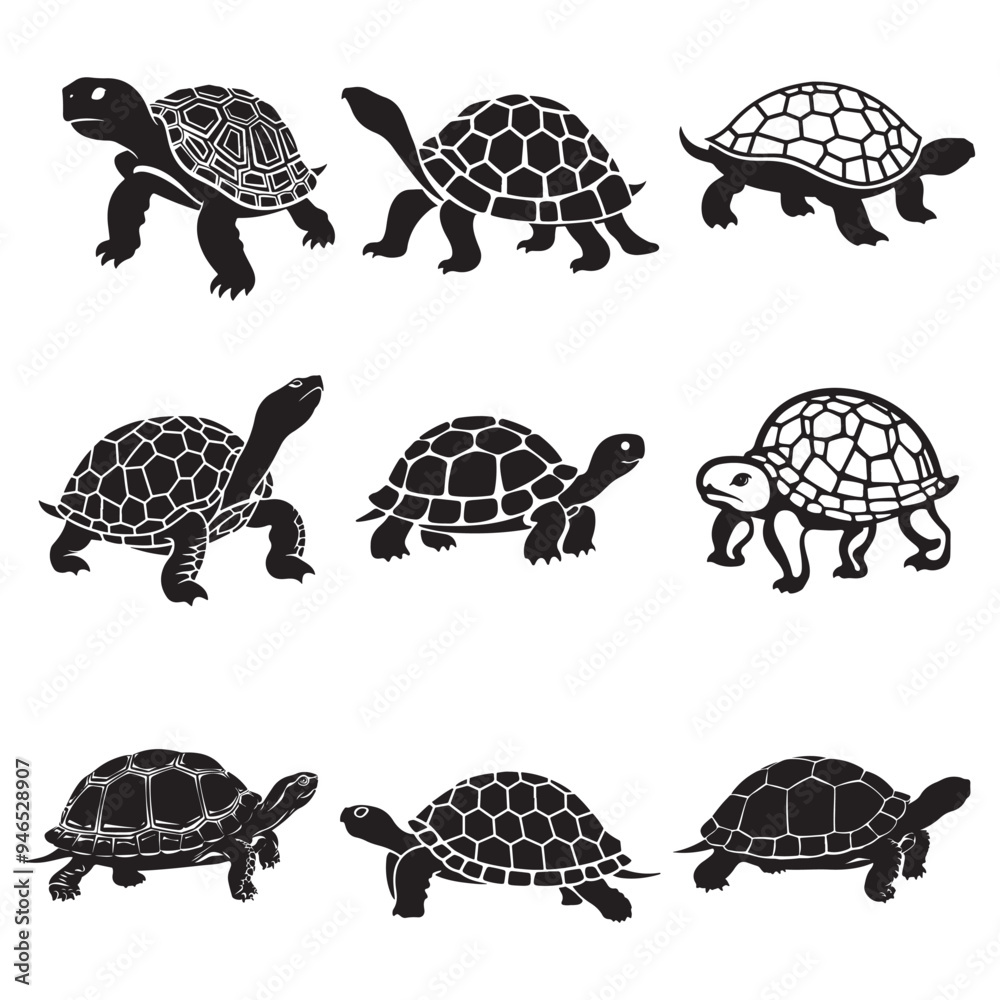 Turtle Vector Silhouette, Aldabra Giant Tortoise silhouettes and icons ...