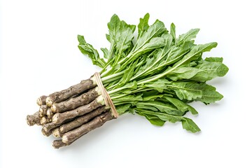 Wall Mural - A bunch of fresh horseradish with green leaves, showcasing its edible roots.