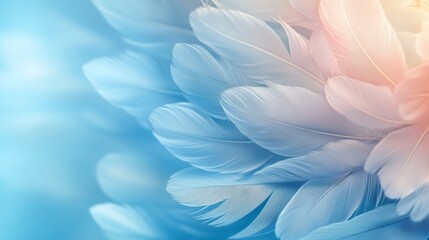 A composition of feathers in soft focus, flowing gently from left to right with subtle gradients, ideal for delicate and soft-themed design projects.