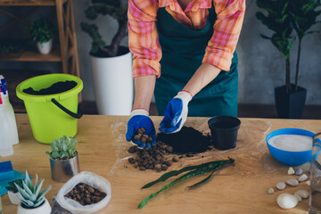 Sticker - Cropped photo of pretty cheerful retired lady wear apron planting herbs indoors house workshop