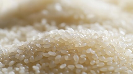 Wall Mural - Close-up of sushi rice grains neatly arranged on a white surface, focusing on their short, round shape and sticky texture, no people.