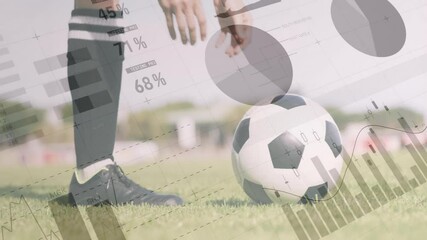 Poster - Soccer player with ball on field, data analytics and statistics animation over scene