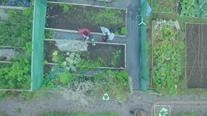 Poster - Top view of people gardening with environmental icons and CO2 animation