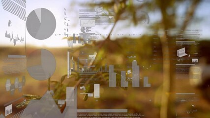 Poster - Charts and graphs animation over nature background with trees and sunlight