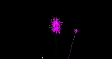Poster - Pink fireworks animation on black background