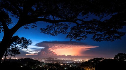 Wall Mural -   View of city at night from hill, tree in foreground, large cloud in sky