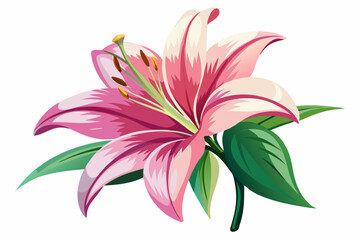 Wall Mural - Lily Flower, watercolor clipart illustration with isolated background