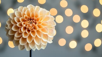 Poster -   A luminous white blossom perched atop a metallic pole, adjacent to a wall with illuminations in the background