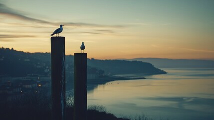   A seagull atop two wooden posts facing a sunset over water