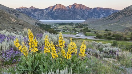 Poster -   Valley with river and mountains in the background, featuring wildflowers in the foreground