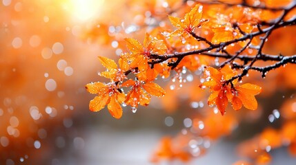 Sticker -   A macro shot of a leafy branch dripping water against a bright sky