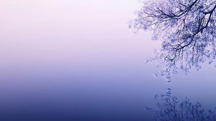 Wall Mural -   A tree without leaves, set against a blue and white background, with the sky visible behind it and another tree without leaves in the foreground