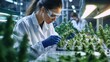 © K-MookPan - Scientist examining cannabis plants in a laboratory, showcasing modern research in botany and agriculture.