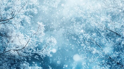 Poster - Abstract winter themed backdrop