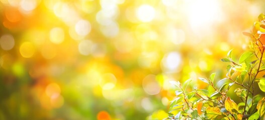Wall Mural - sunlight and bokeh lights on a panoramic orange background