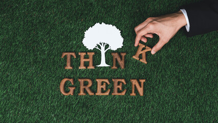 Wall Mural - Hand arrange wooden alphabet in ecological awareness campaign with ECO icon design on biophilia green grass background to promote environmental protection for greener and sustainable future. Gyre