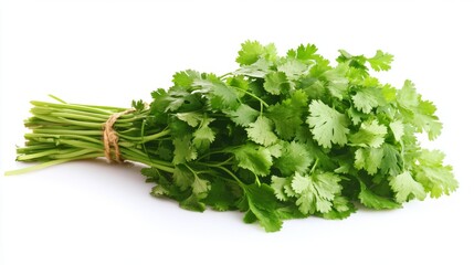 An image of fresh green parsley leaves on a white background. Herb, garnish, cooking, garnish, ingredient, organic, bunch, healthy, vibrant.