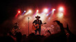 © Gary - 2 country western musicians playing guitars on stage backlit by spotlights