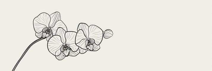 Sticker - Elegant Orchid Flower Line Art Illustration.