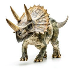 Poster - Triceratops Isolated on white Background