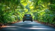 © aicandy - A vibrant green car navigating through a picturesque, sunlit tropical rainforest surrounded by lush, dense vegetation on a serene road