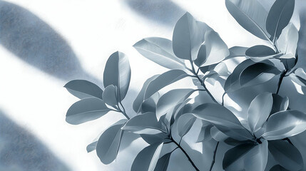 Sticker - Grey Leaves Shadow Plant Background