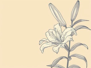 Poster - Elegant Lily Flower Illustration on Light Background.