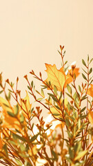 Wall Mural - Golden Leaves and Branches Against a Soft Beige Background