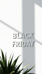 Poster - Black Friday Text on White Wall with Shadow