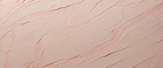 Close-up of Light Pink Textured Surface with Veins