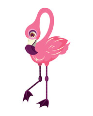 Canvas Print - pink flemish bird wild character