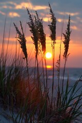 Aufkleber - A serene landscape with the sun dipping below the horizon amidst a backdrop of tall grass