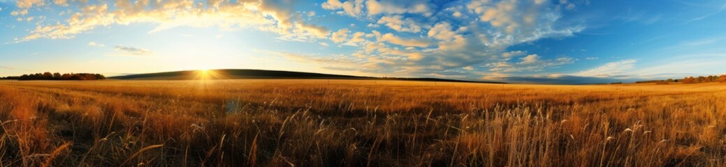 Wall Mural - Golden Field at Sunset