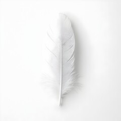 Poster - Ethereal White Feather Floating on Simple Background