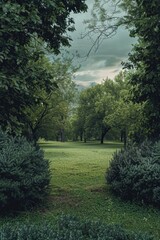 Aufkleber - A serene landscape with a green grassy field, bushes, and trees in the background