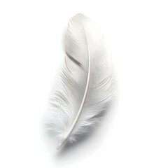 Poster - Serene White Feather Floating on Pristine Background