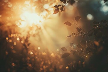 Aufkleber - A sunbeam illuminates the foliage of a tree, creating dappled shadows and highlights