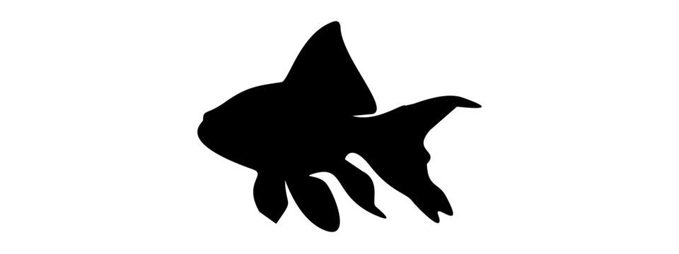 silhouette golden fish