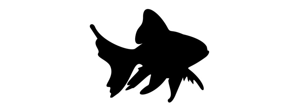 silhouette golden fish