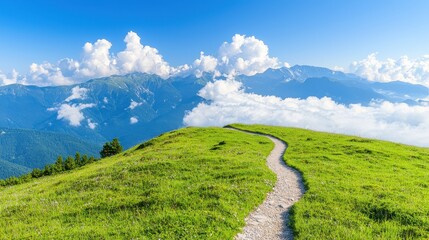 Poster - Winding Path Through Green Mountain Meadow with Clouds and Blue Sky