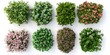 © Yi_Studio - Colorful Top View of Different Flowers and Plants for Garden Design