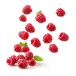 Falling raspberry fruits isolated on white background