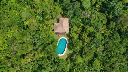 Poster - Aerial View of Tropical Hut with Pool in Lush Rainforest