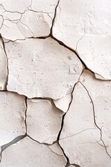 Poster - An intricate stone surface with visible cracks and crevices, offering ample copy space for customization.